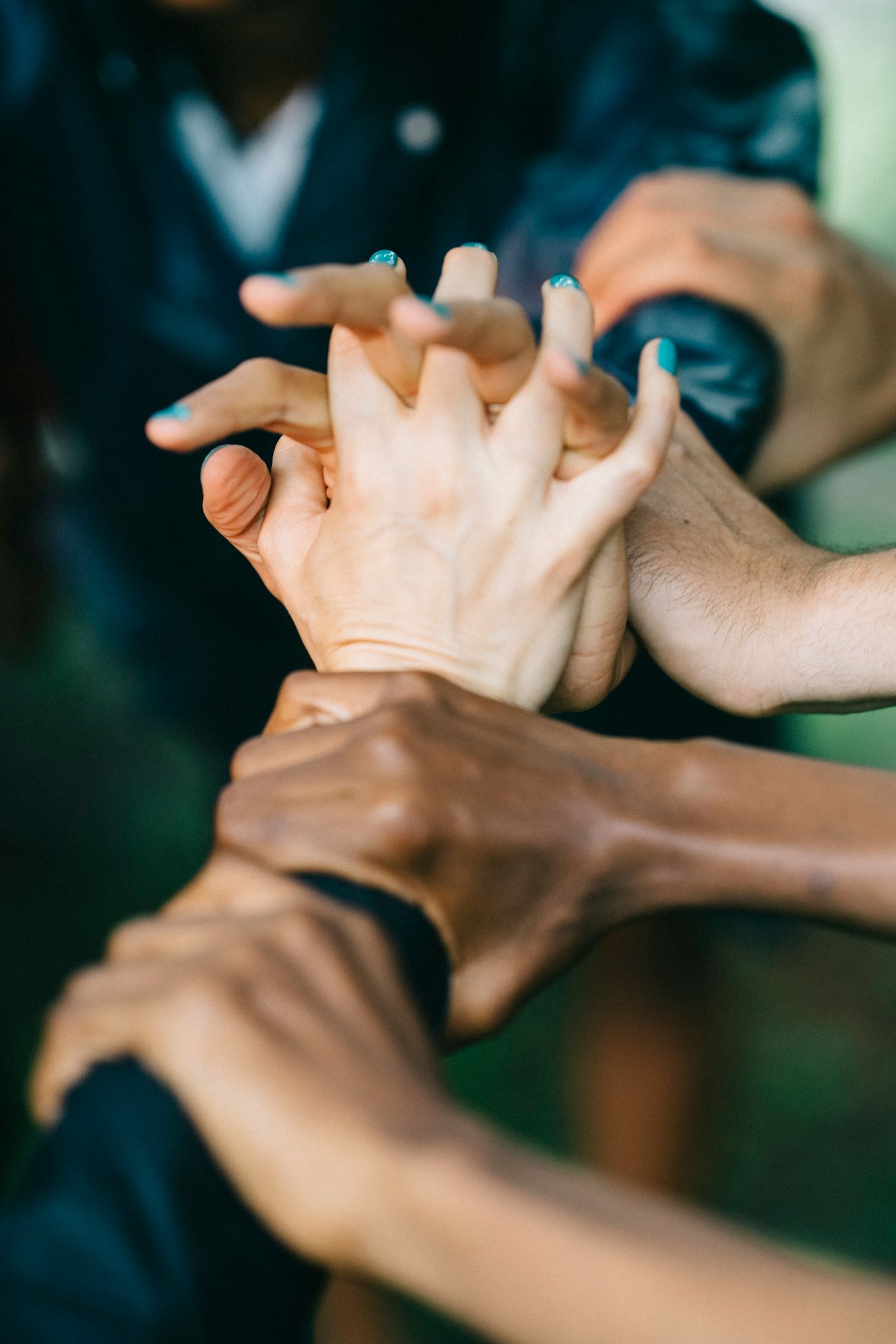 Unsere liebsten Familienrezepte vorgestellt